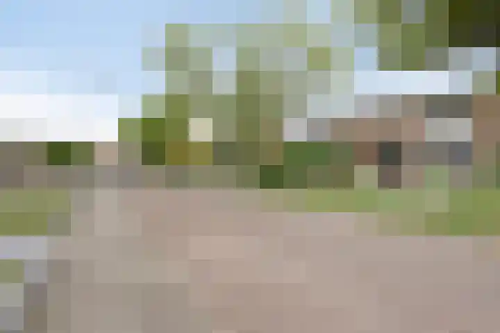 van der Baanstraat 23 Wolphaartsdijk thumbnail 6