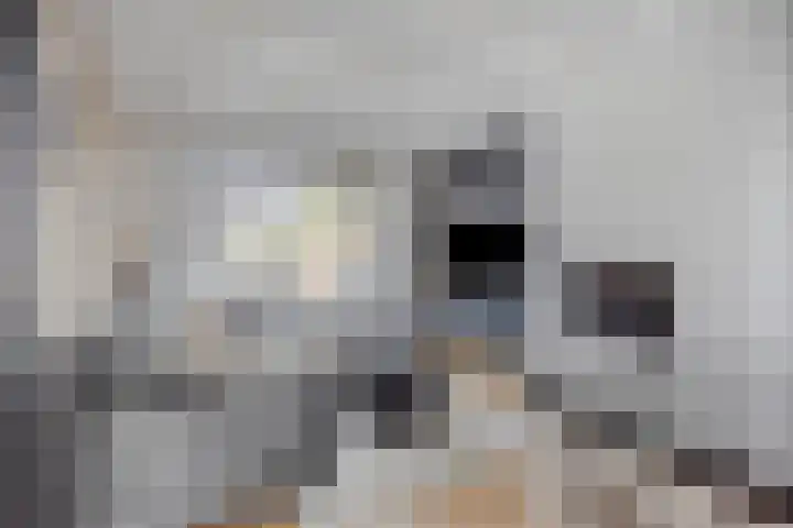 van der Baanstraat 23 Wolphaartsdijk thumbnail 8