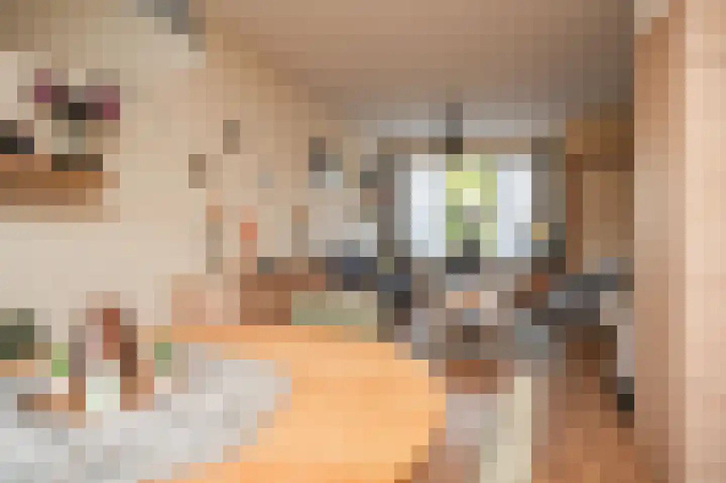 van der Beekstraat 11 Genderen thumbnail 11