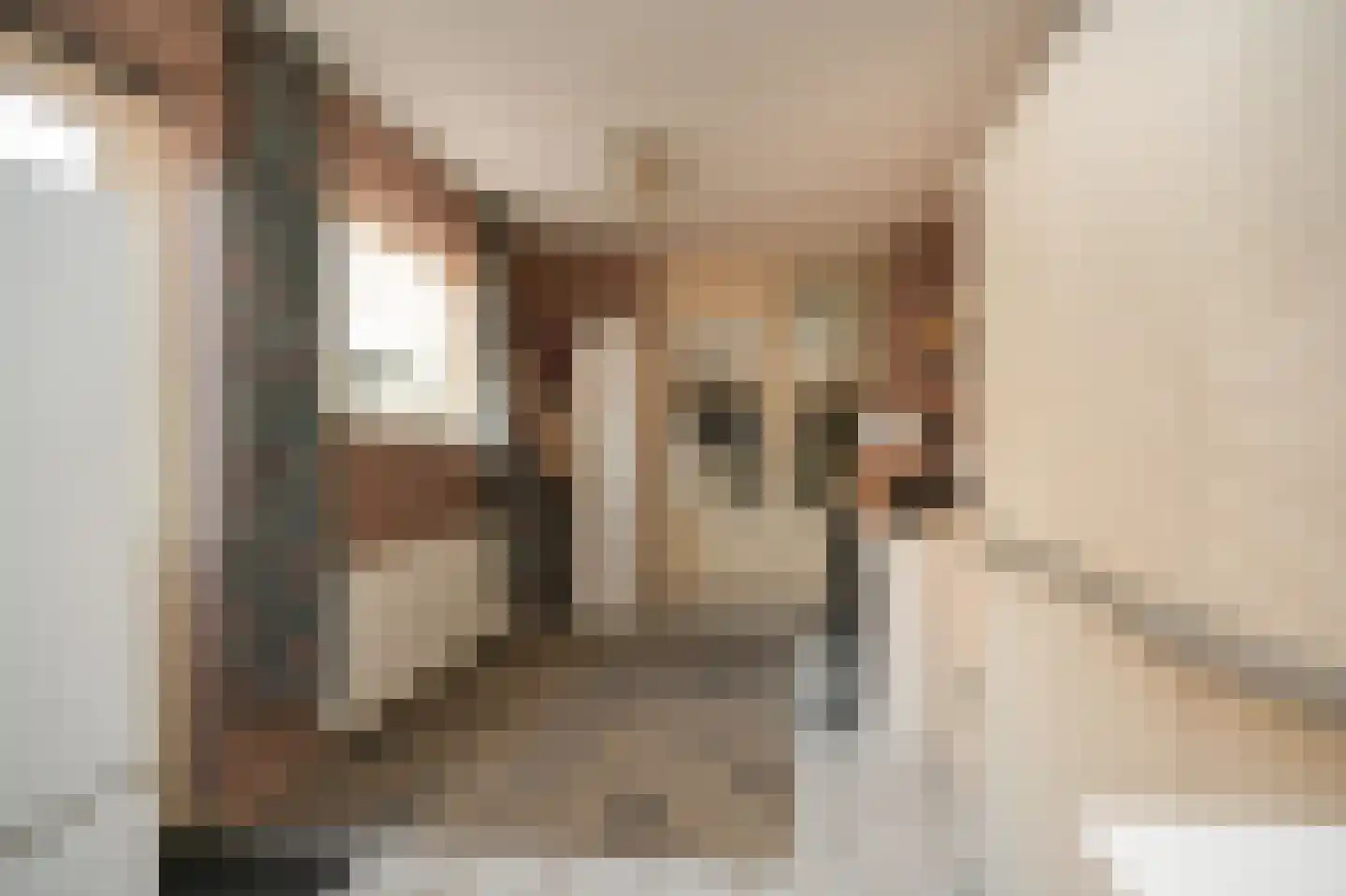van der Beekstraat 11 Genderen thumbnail 19