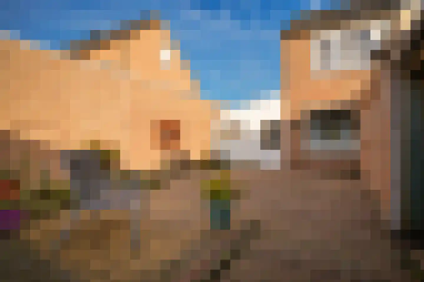 van der Beekstraat 11 Genderen thumbnail 33