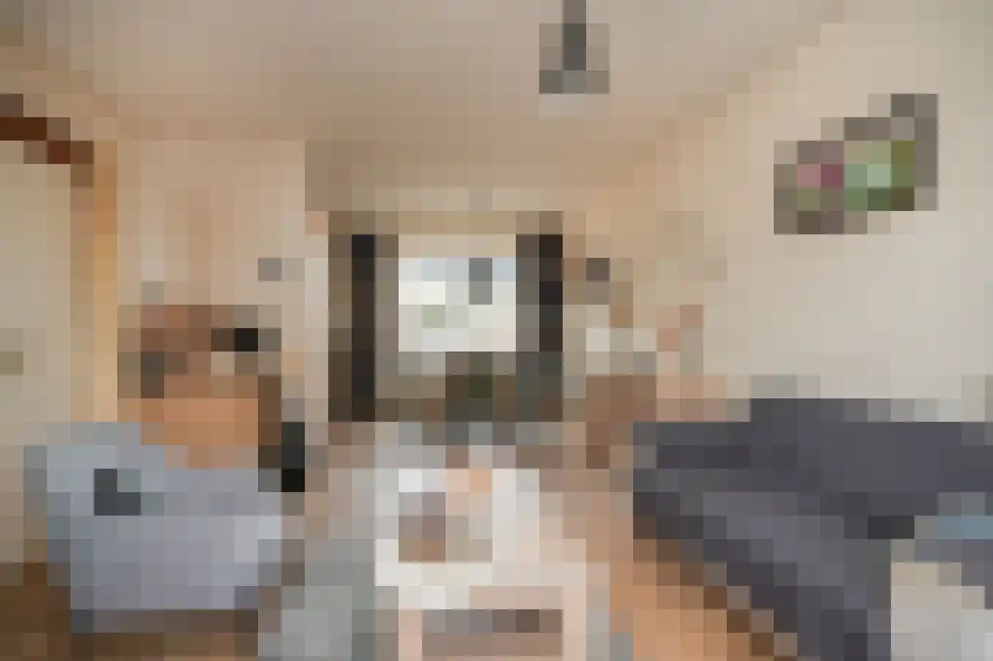 van der Beekstraat 11 Genderen thumbnail 7