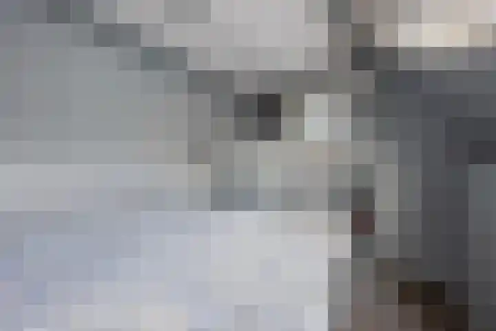 van der Beekstraat 32 Genderen thumbnail 22