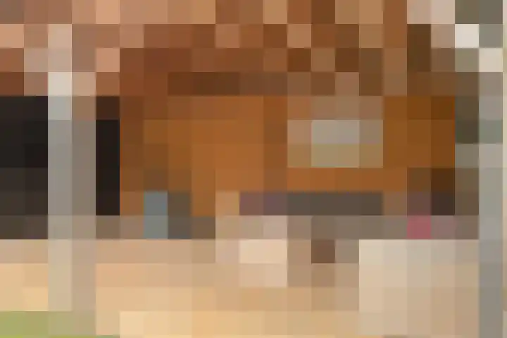 van der Beekstraat 65 Genderen thumbnail 32