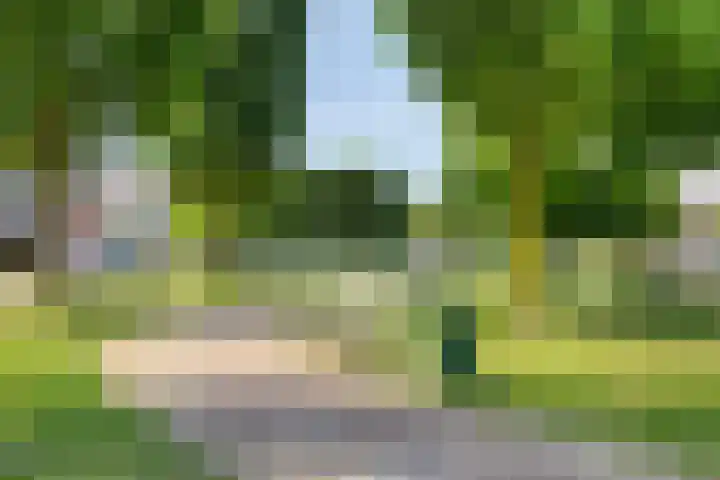 van der Bijlstraat 43 Roelofarendsveen thumbnail 23