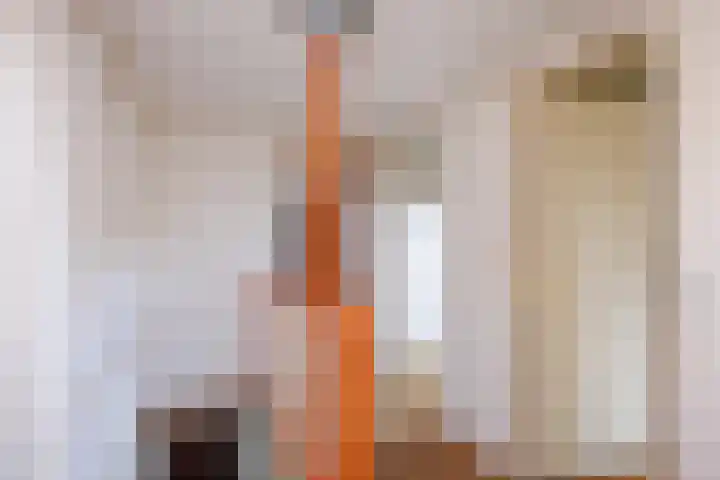 Van der Bildtstraat 32 Franeker thumbnail 36