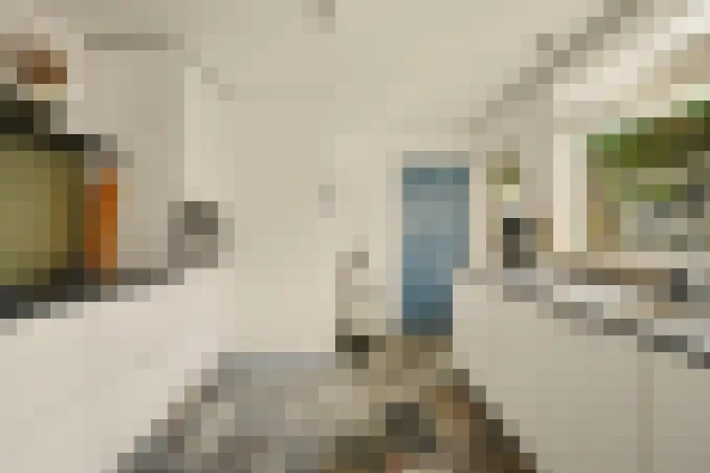 van der Biltlaan 19 Kapelle thumbnail 11