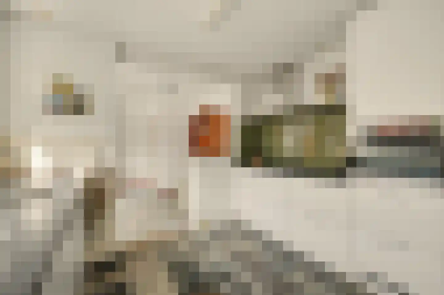 van der Biltlaan 19 Kapelle thumbnail 12