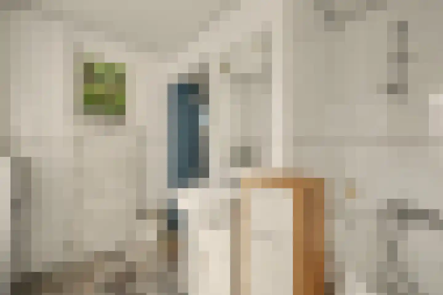 van der Biltlaan 19 Kapelle thumbnail 17