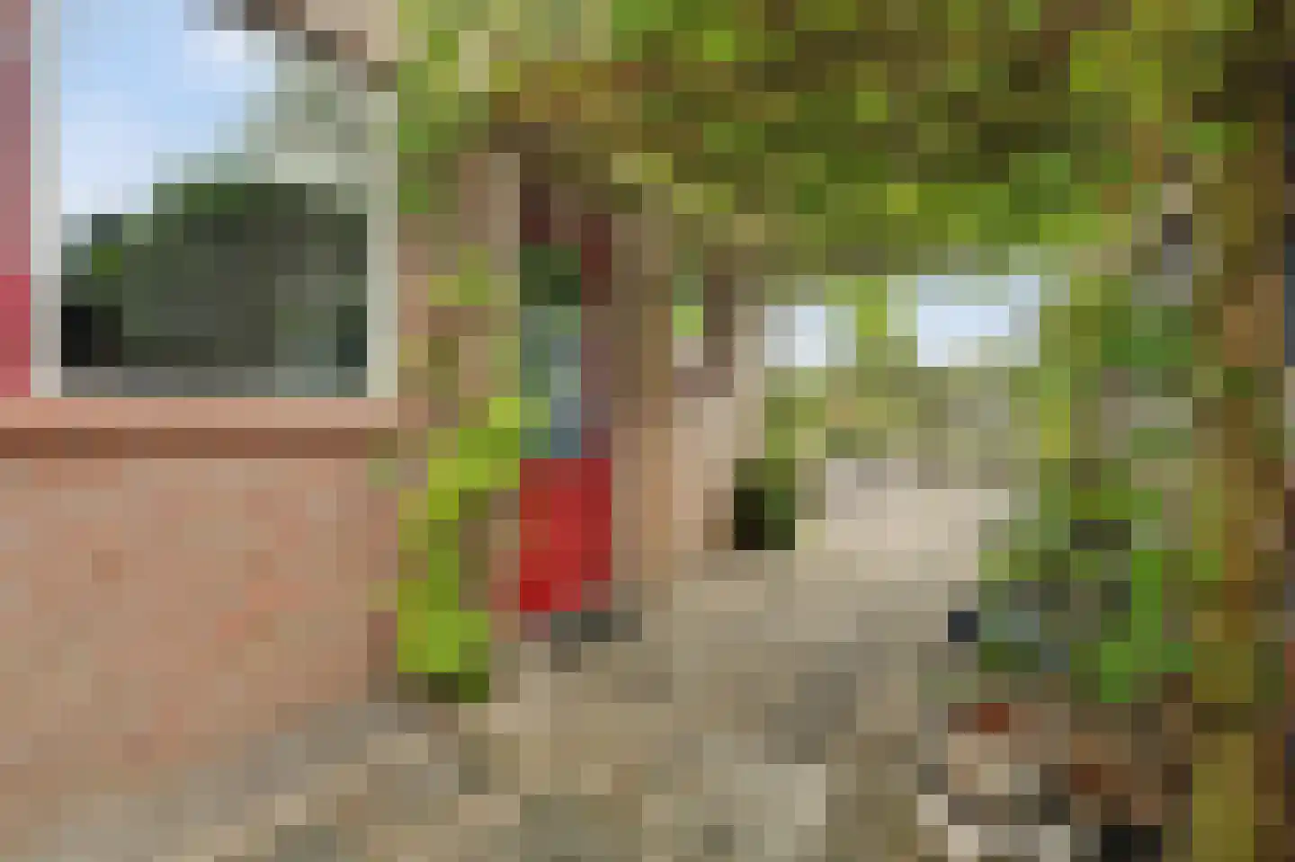 van der Biltlaan 19 Kapelle thumbnail 30