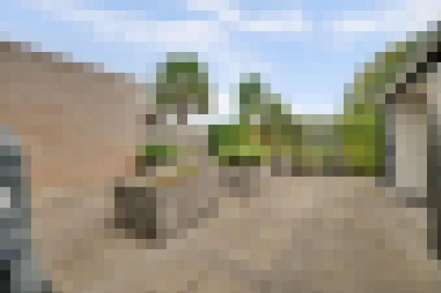van der Biltlaan 19 Kapelle thumbnail 31