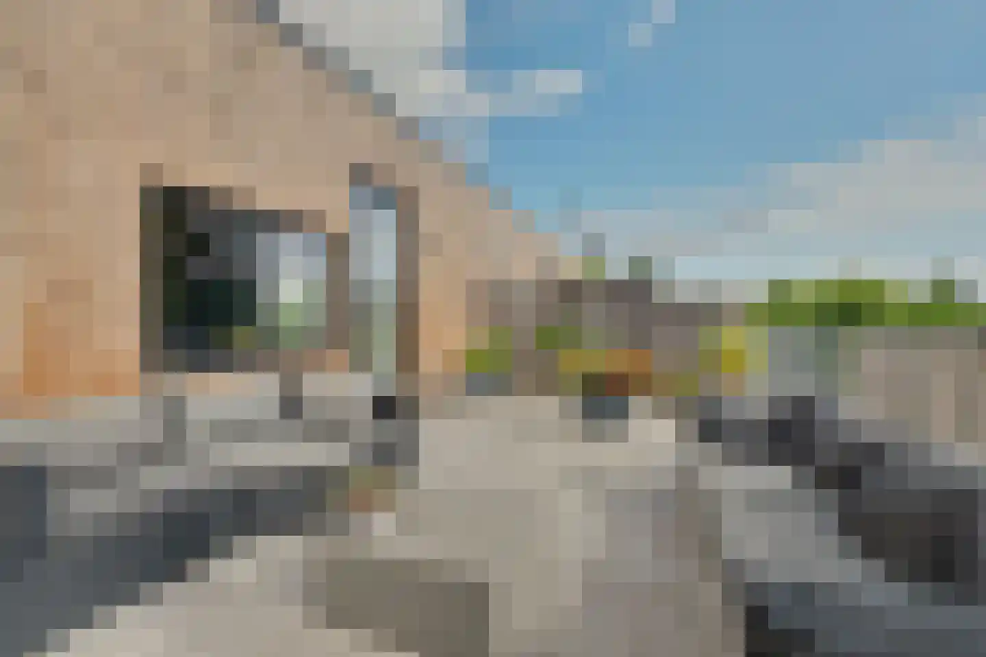 van der Biltlaan 69 A Kapelle thumbnail 55
