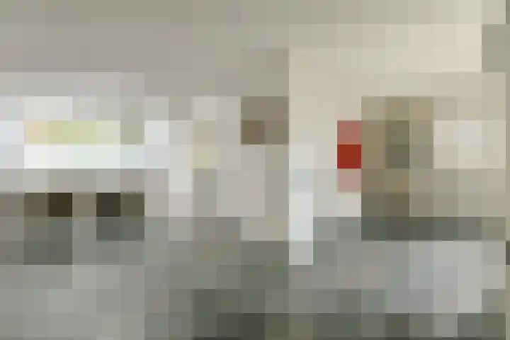 Van der Boechorststraat 30 Amsterdam thumbnail 13