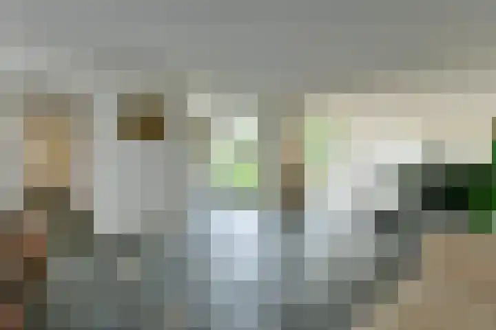 Van der Boechorststraat 30 Amsterdam thumbnail 9