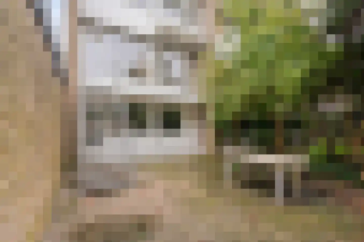 Van der Boechorststraat 42 Amsterdam thumbnail 37