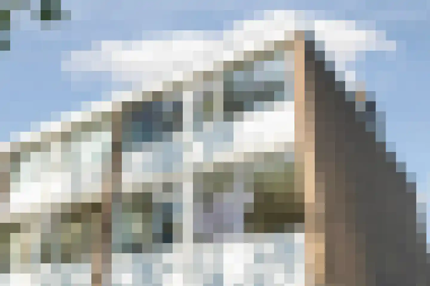 Van der Boechorststraat 84 Amsterdam thumbnail 44