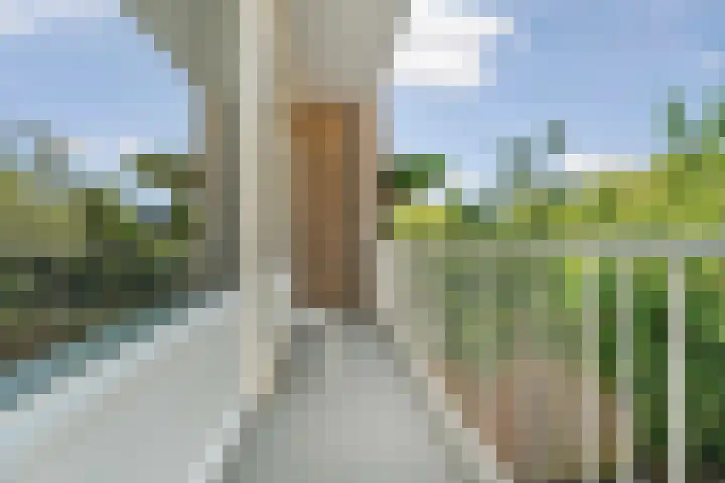 Van der Boechorststraat 84 Amsterdam thumbnail 6
