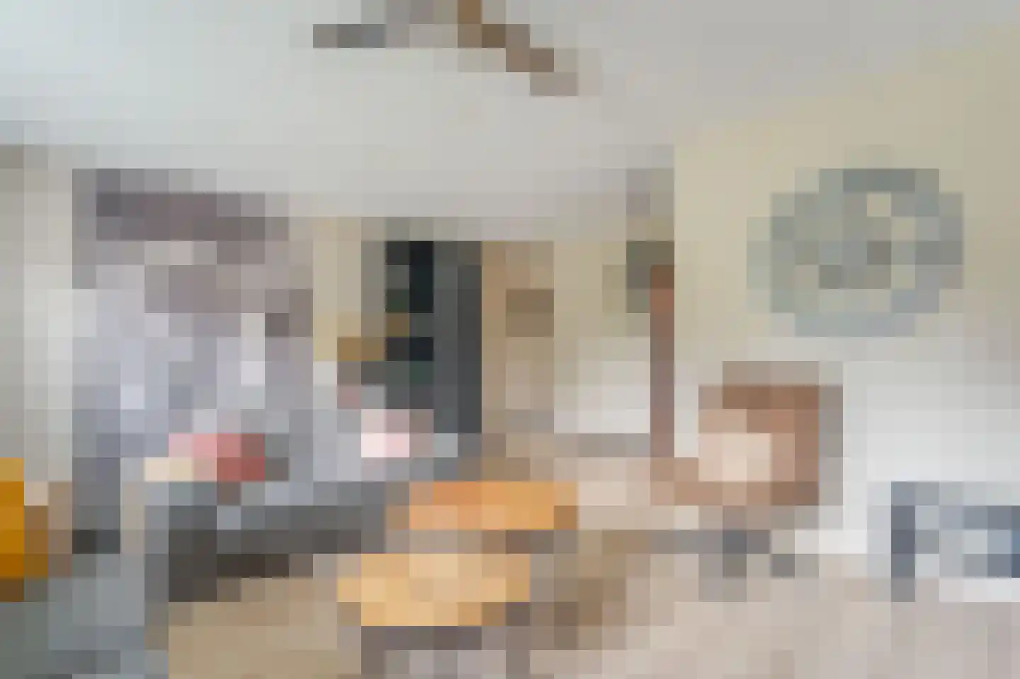 Van der Brugghenstraat 1 Bergentheim thumbnail 12