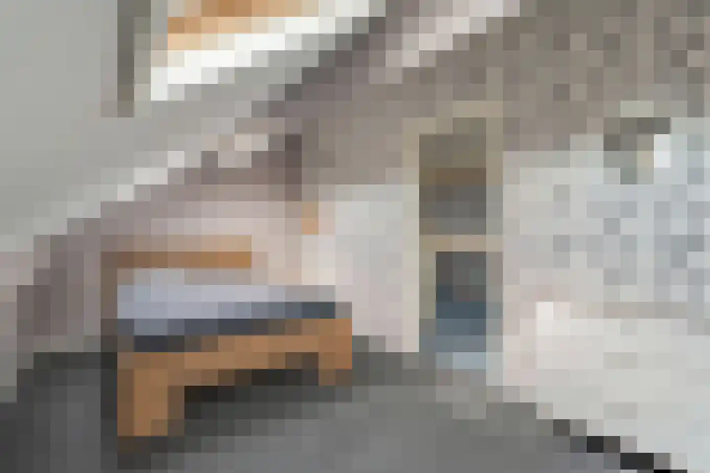 Van der Brugghenstraat 1 Bergentheim thumbnail 32