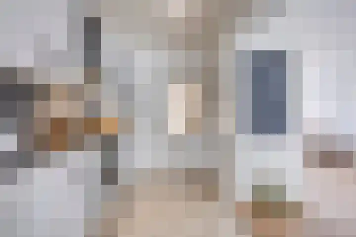 van der Brugghenstraat 14 Helmond thumbnail 15