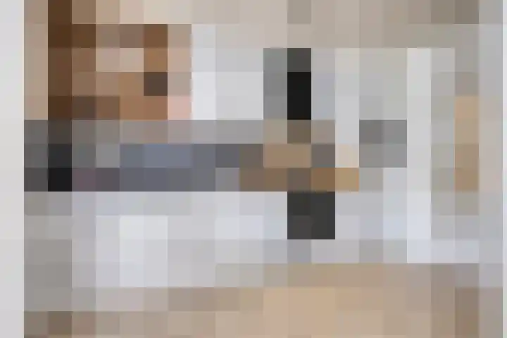 van der Brugghenstraat 14 Helmond thumbnail 17