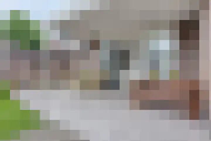 van der Brugghenstraat 14 Helmond thumbnail 31