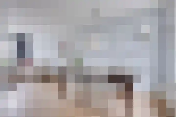 van der Brugghenstraat 14 Helmond thumbnail 6