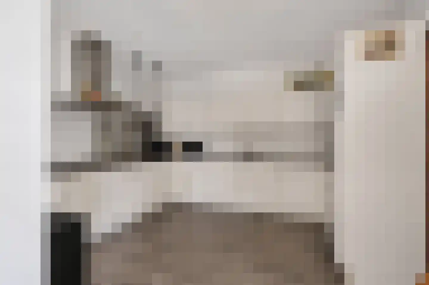 van der Brugghenstraat 19 Helmond thumbnail 10
