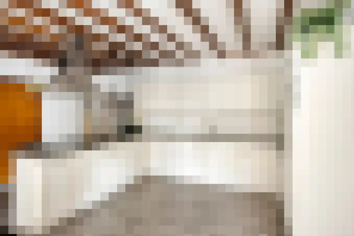 van der Brugghenstraat 19 Helmond thumbnail 17