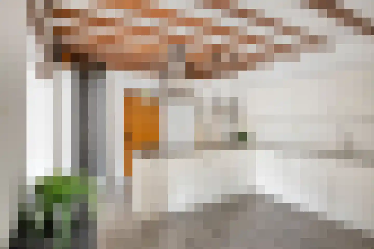 van der Brugghenstraat 19 Helmond thumbnail 18