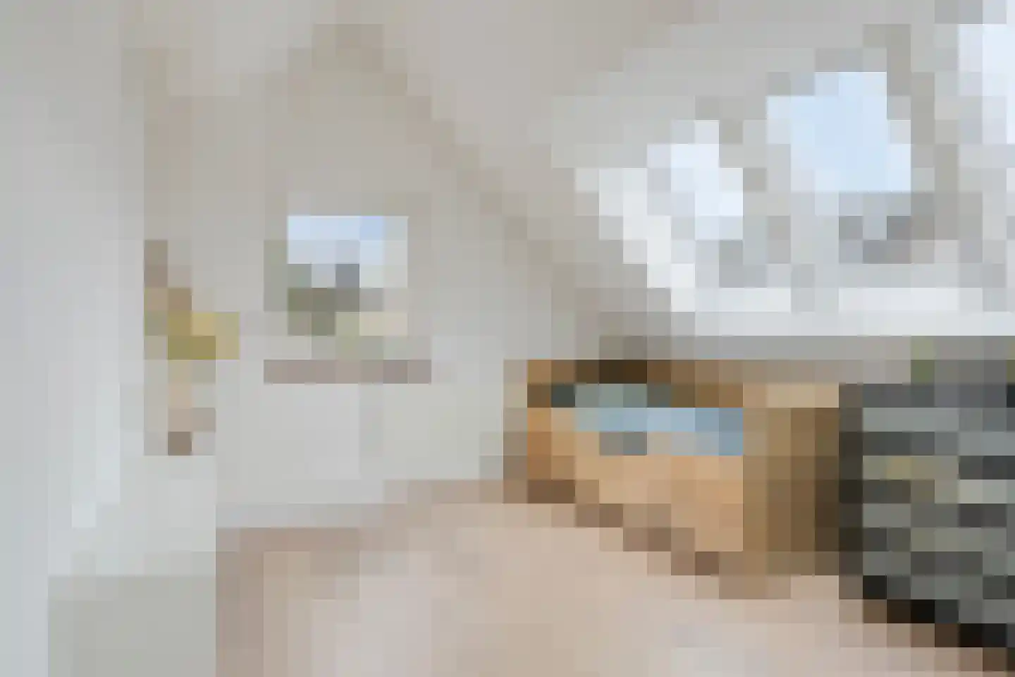 van der Brugghenstraat 19 Helmond thumbnail 24