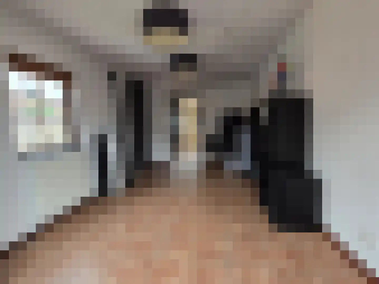 van der Brugghenstraat 19 Helmond thumbnail 39