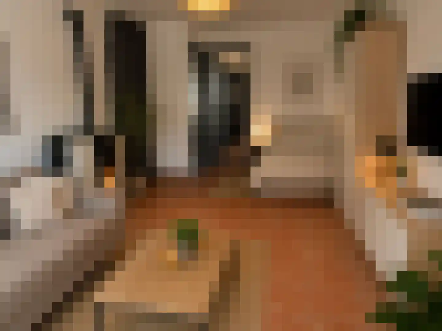 van der Brugghenstraat 19 Helmond thumbnail 4