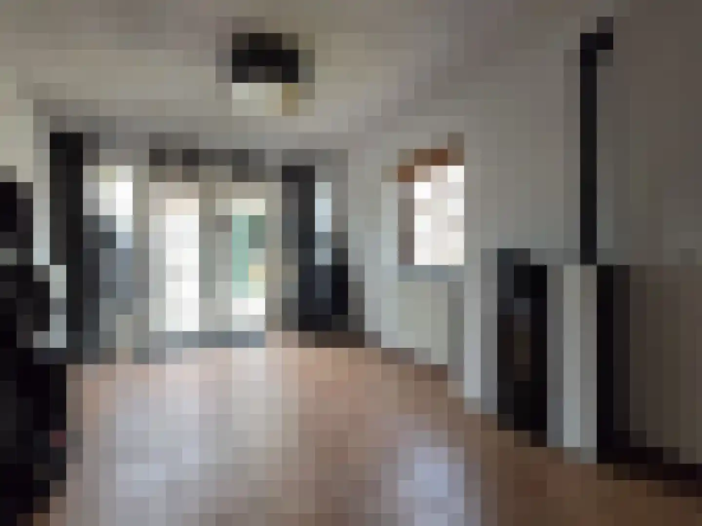 van der Brugghenstraat 19 Helmond thumbnail 41