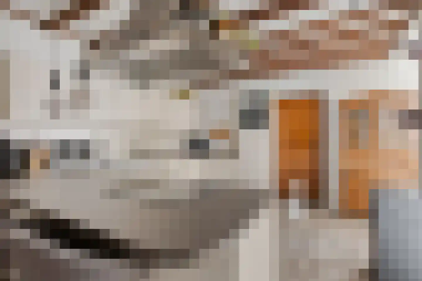 van der Brugghenstraat 19 Helmond thumbnail 8