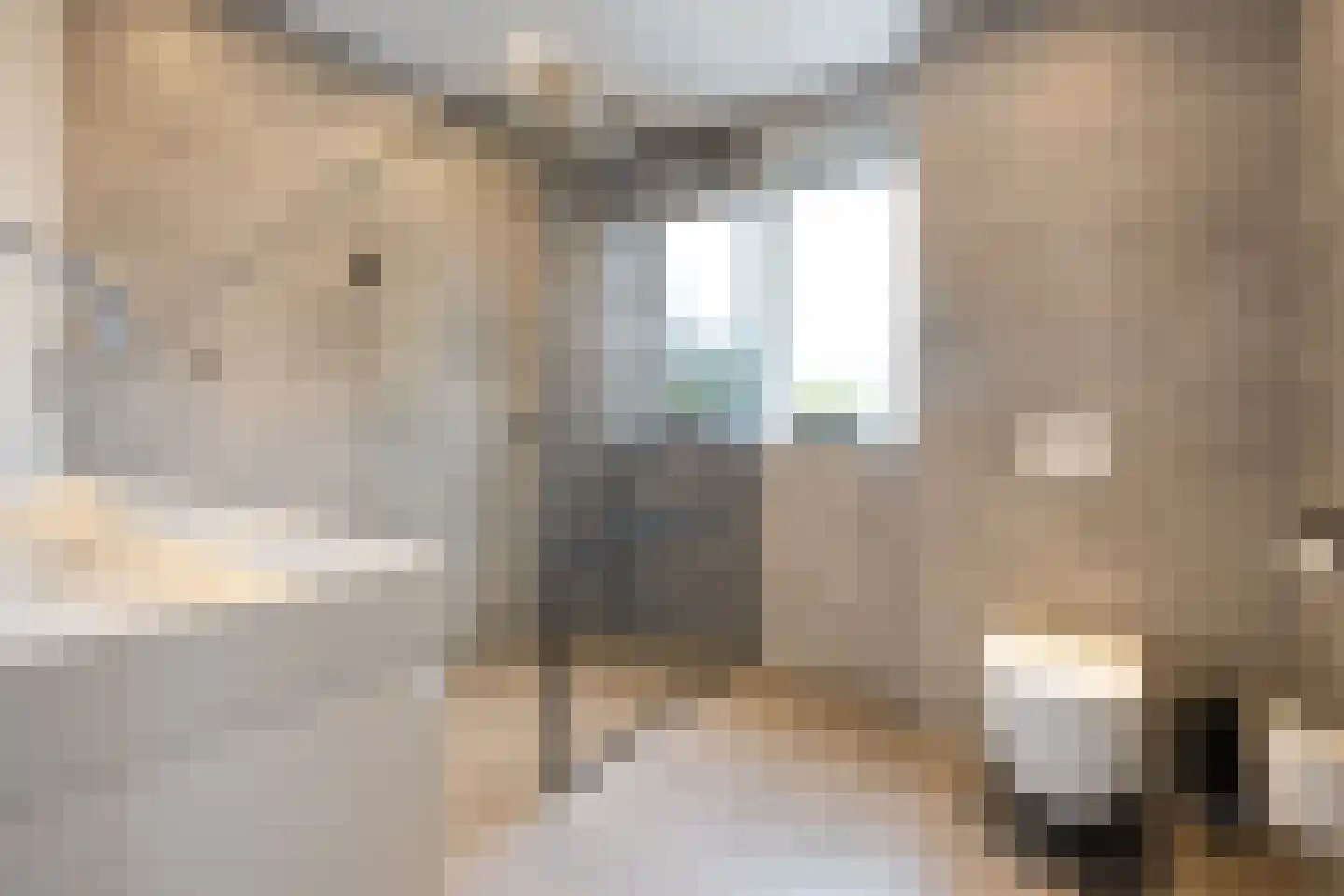 Van der Brugghenstraat 20 Bergentheim thumbnail 29