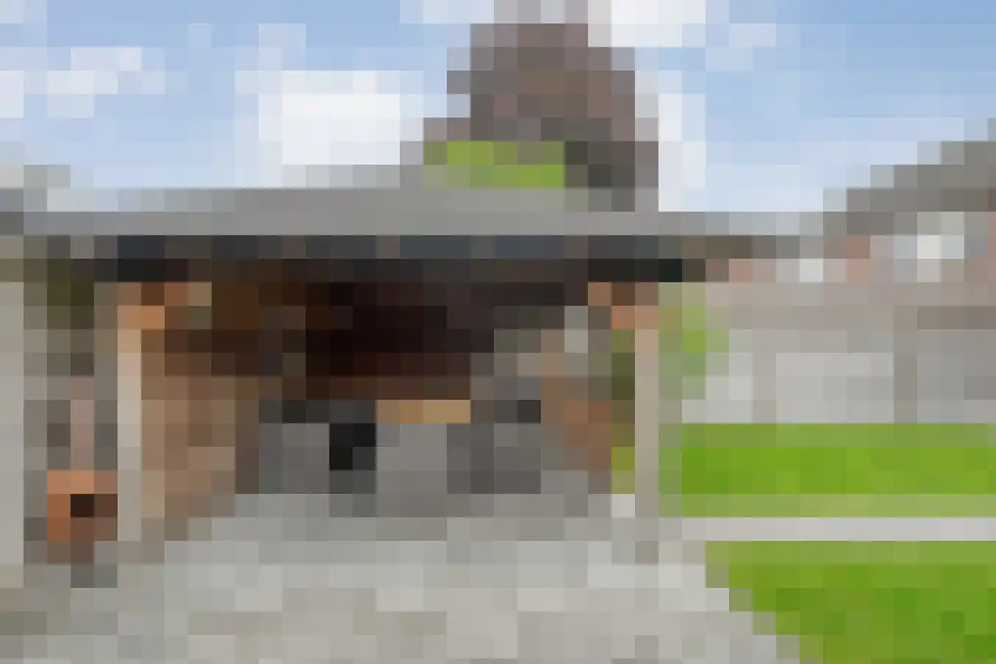 Van der Brugghenstraat 20 Bergentheim thumbnail 41