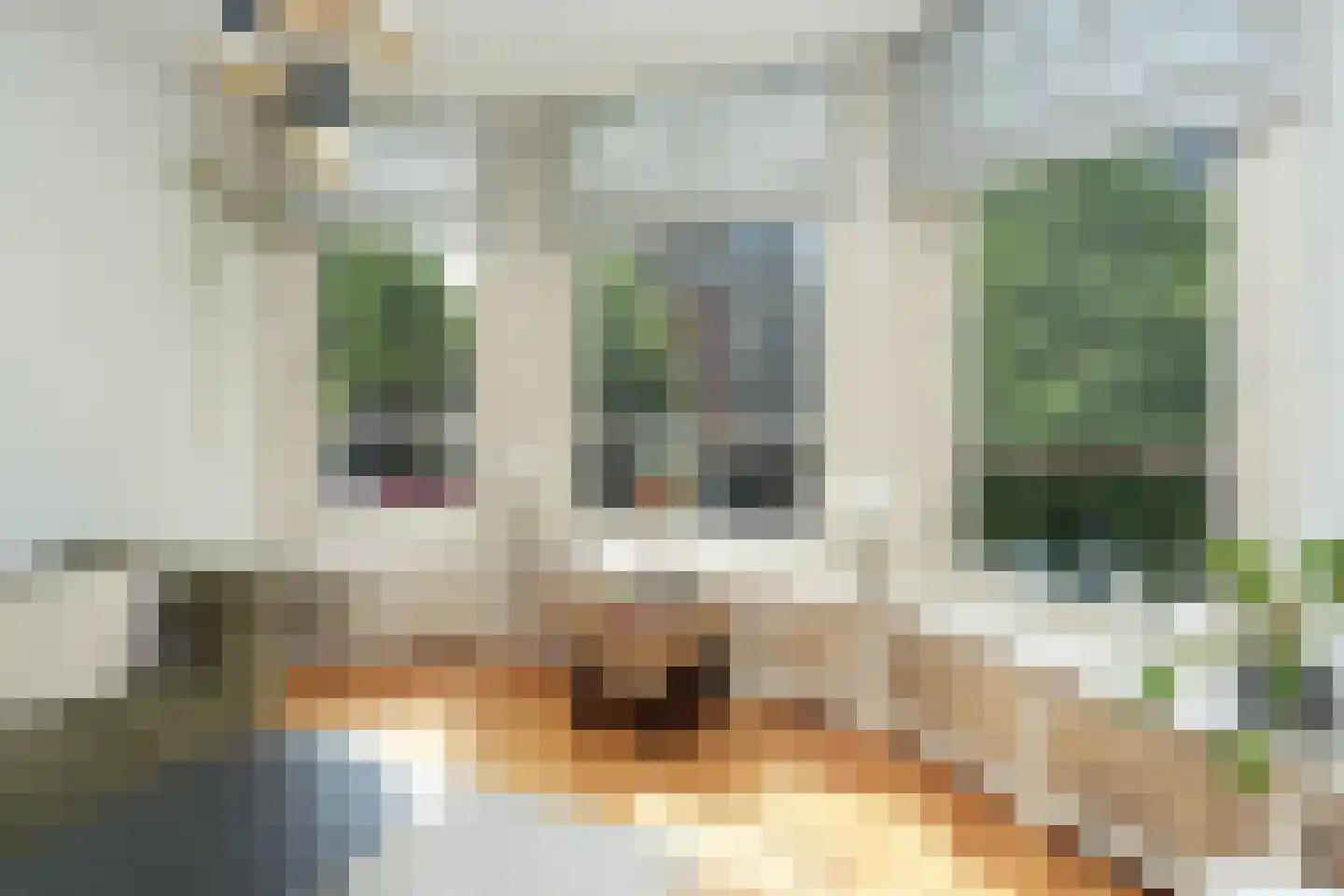 van der Brugghenstraat 6 A Nijmegen thumbnail 13
