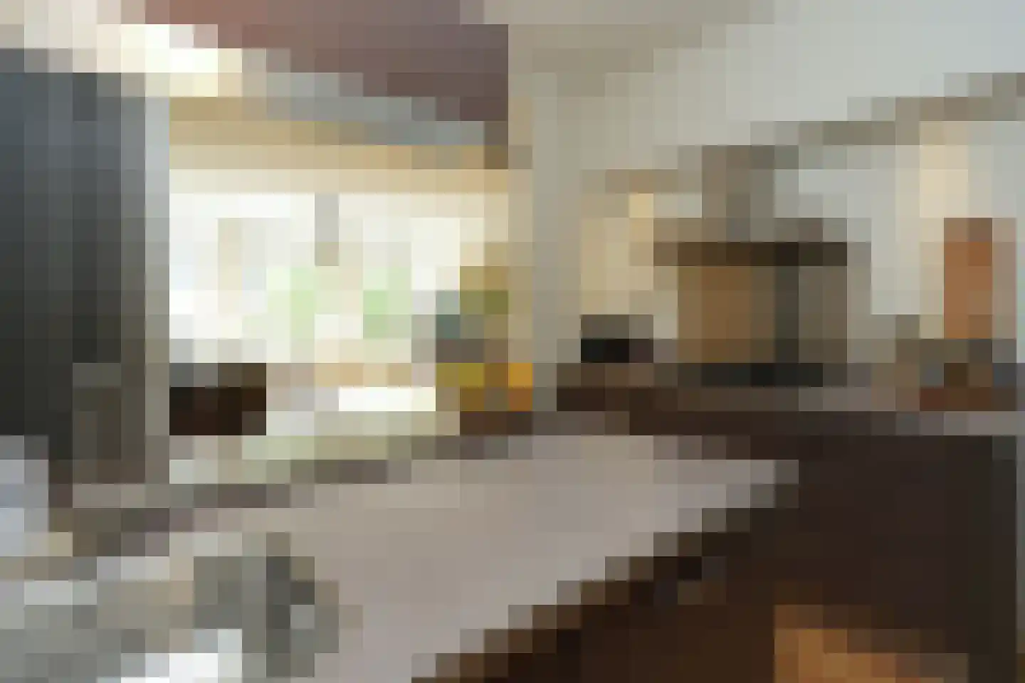 van der Brugghenstraat 6 A Nijmegen thumbnail 20