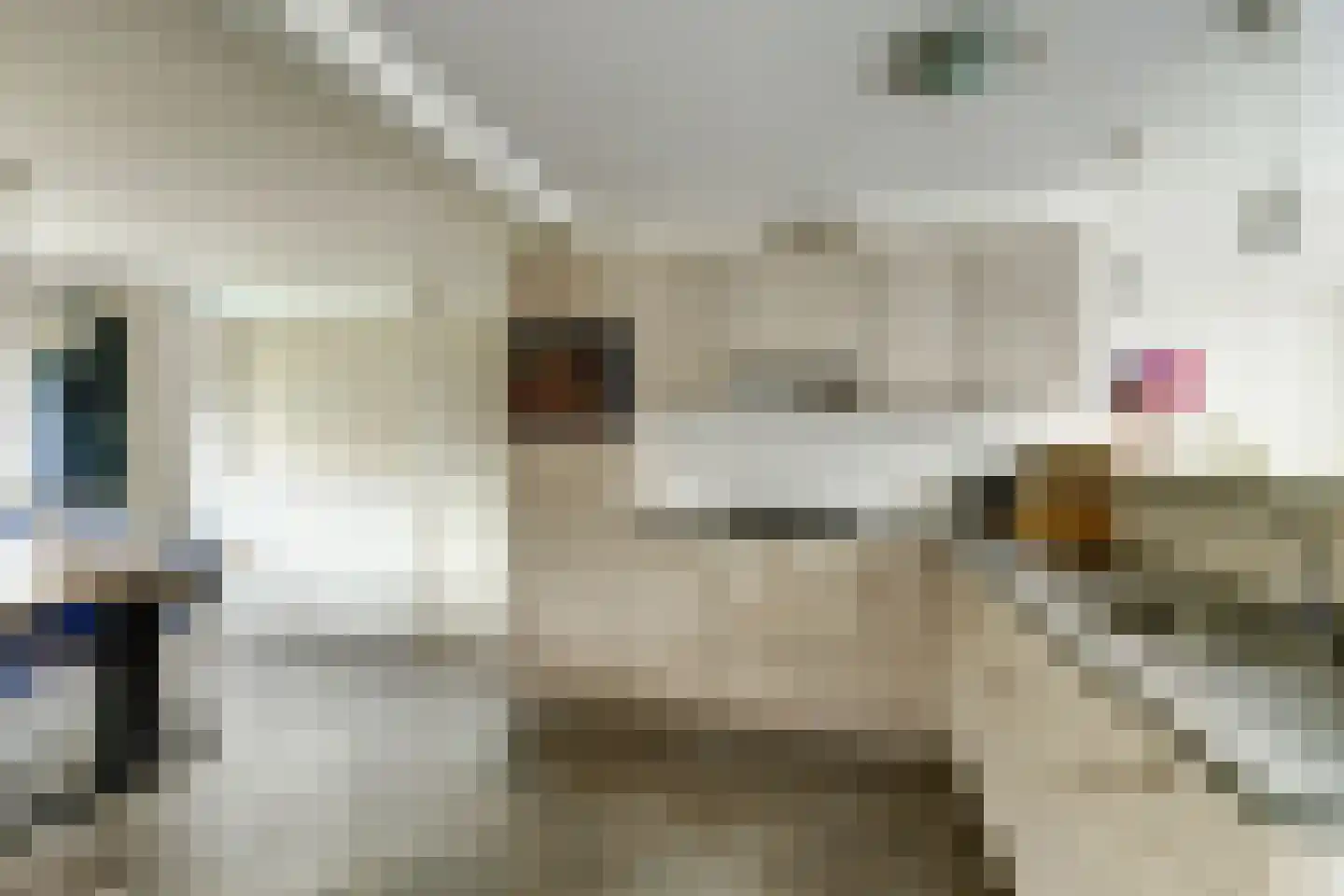 Van der Brugghenstrjitte 32 Nij Beets thumbnail 10