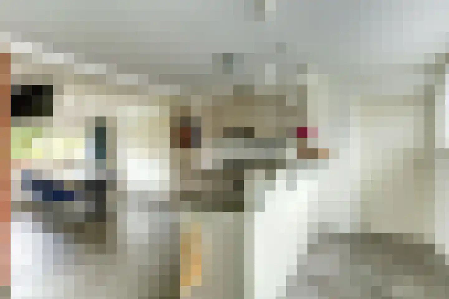 Van der Brugghenstrjitte 32 Nij Beets thumbnail 11