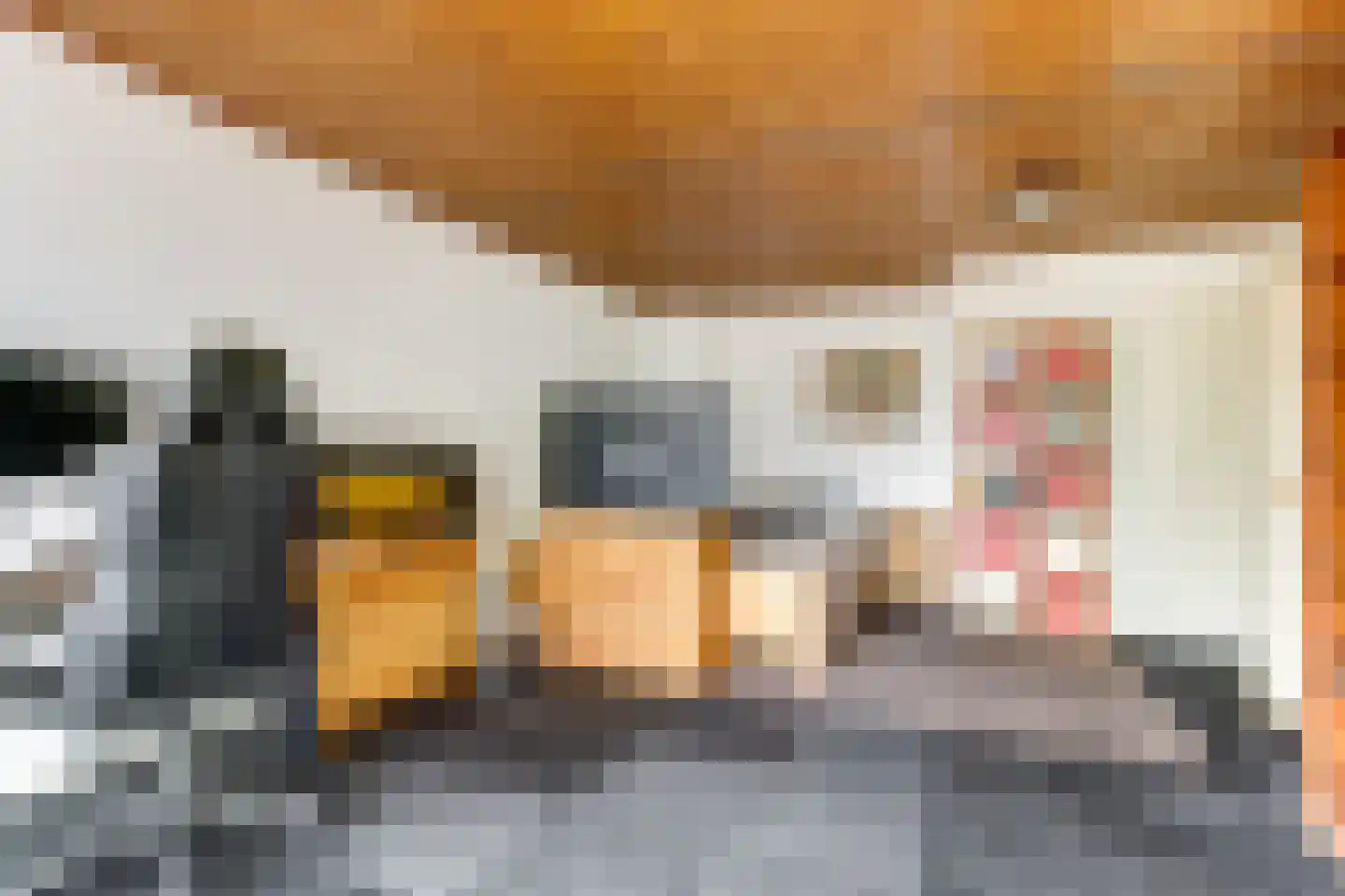 Van der Brugghenstrjitte 32 Nij Beets thumbnail 12