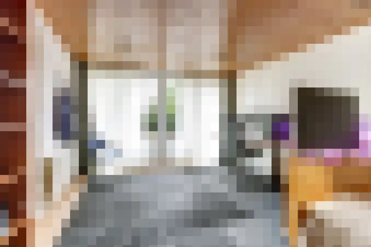 Van der Brugghenstrjitte 32 Nij Beets thumbnail 13