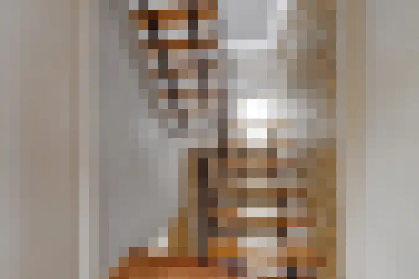 Van der Brugghenstrjitte 32 Nij Beets thumbnail 19