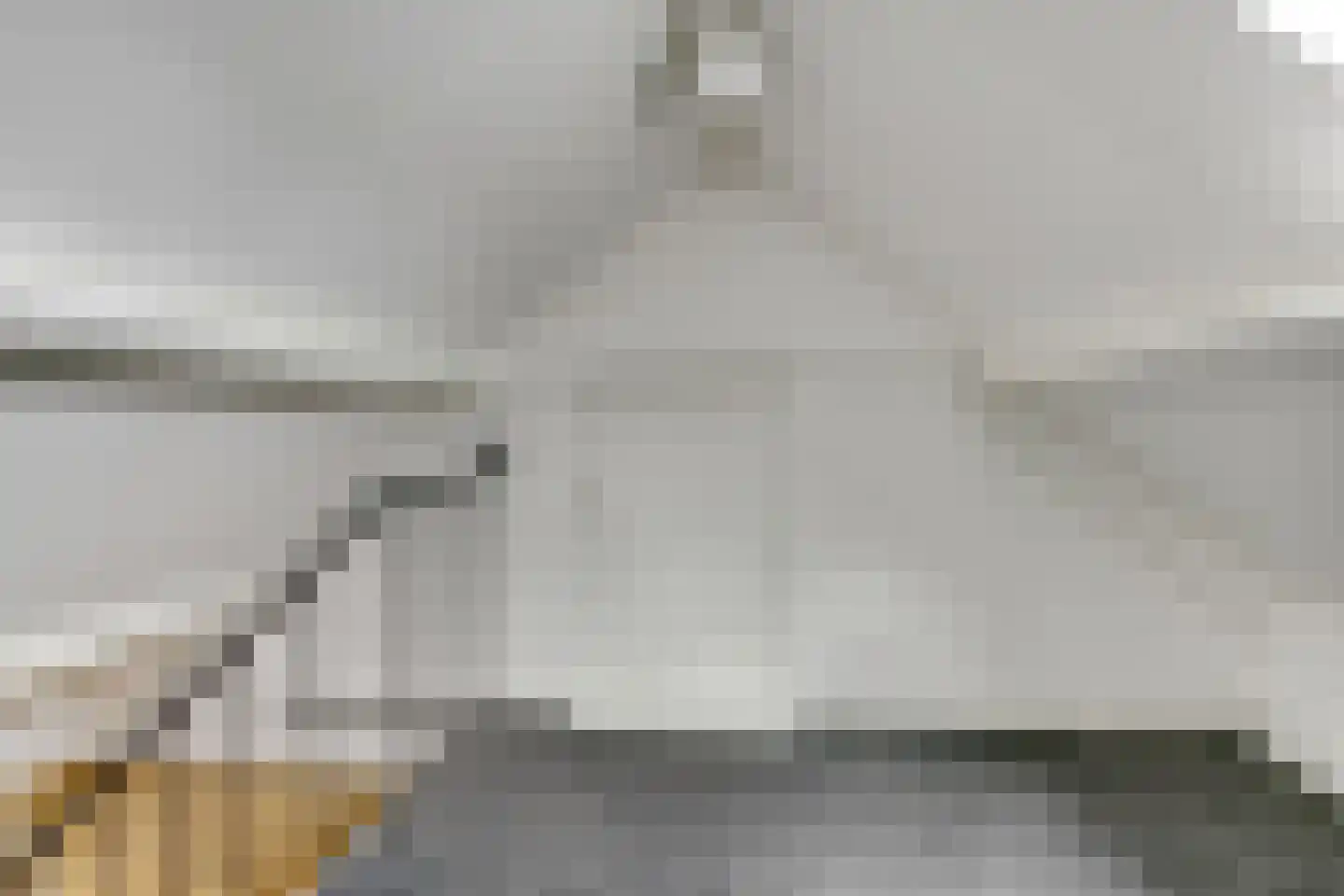 Van der Brugghenstrjitte 32 Nij Beets thumbnail 27