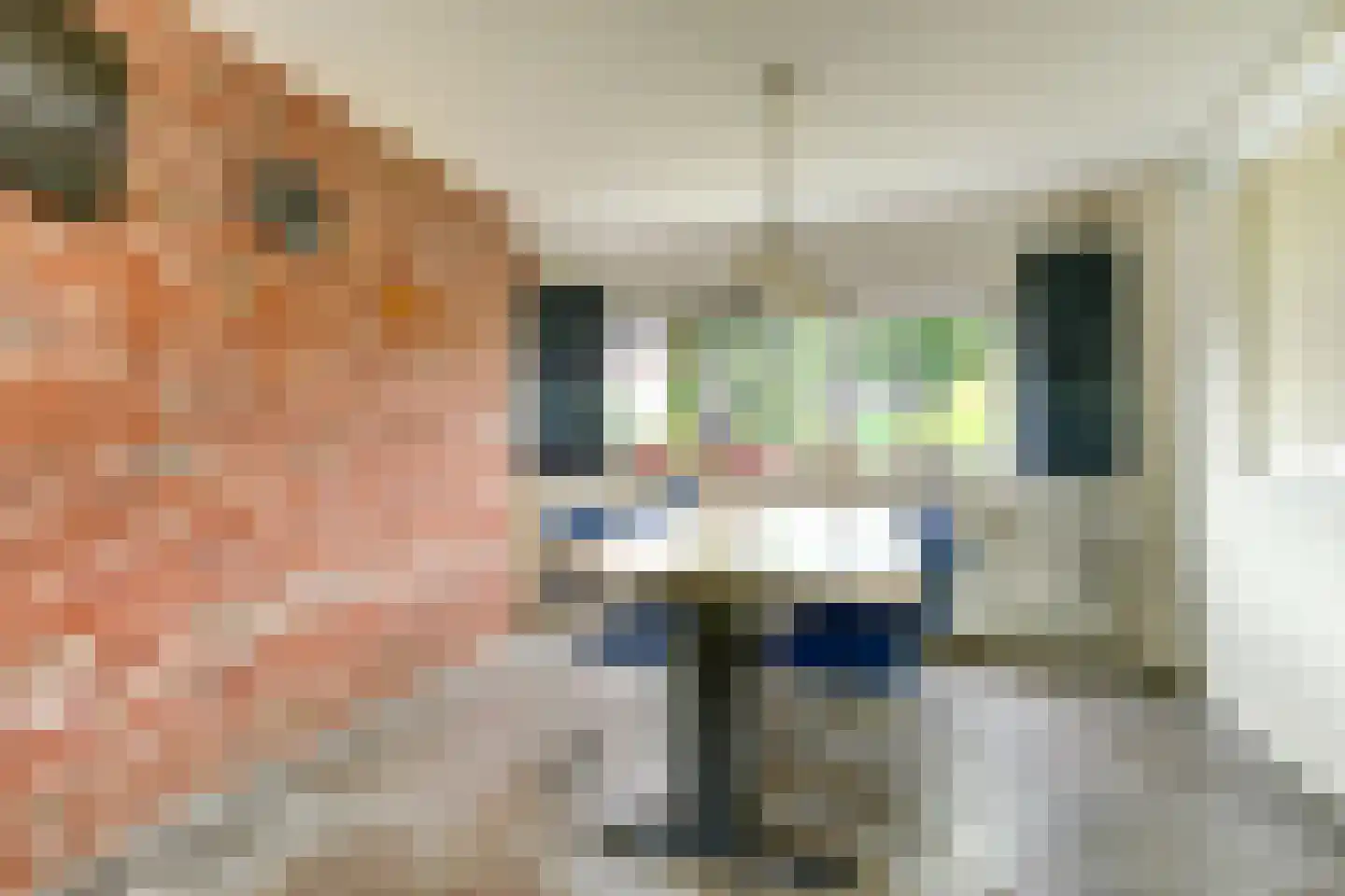Van der Brugghenstrjitte 32 Nij Beets thumbnail 7