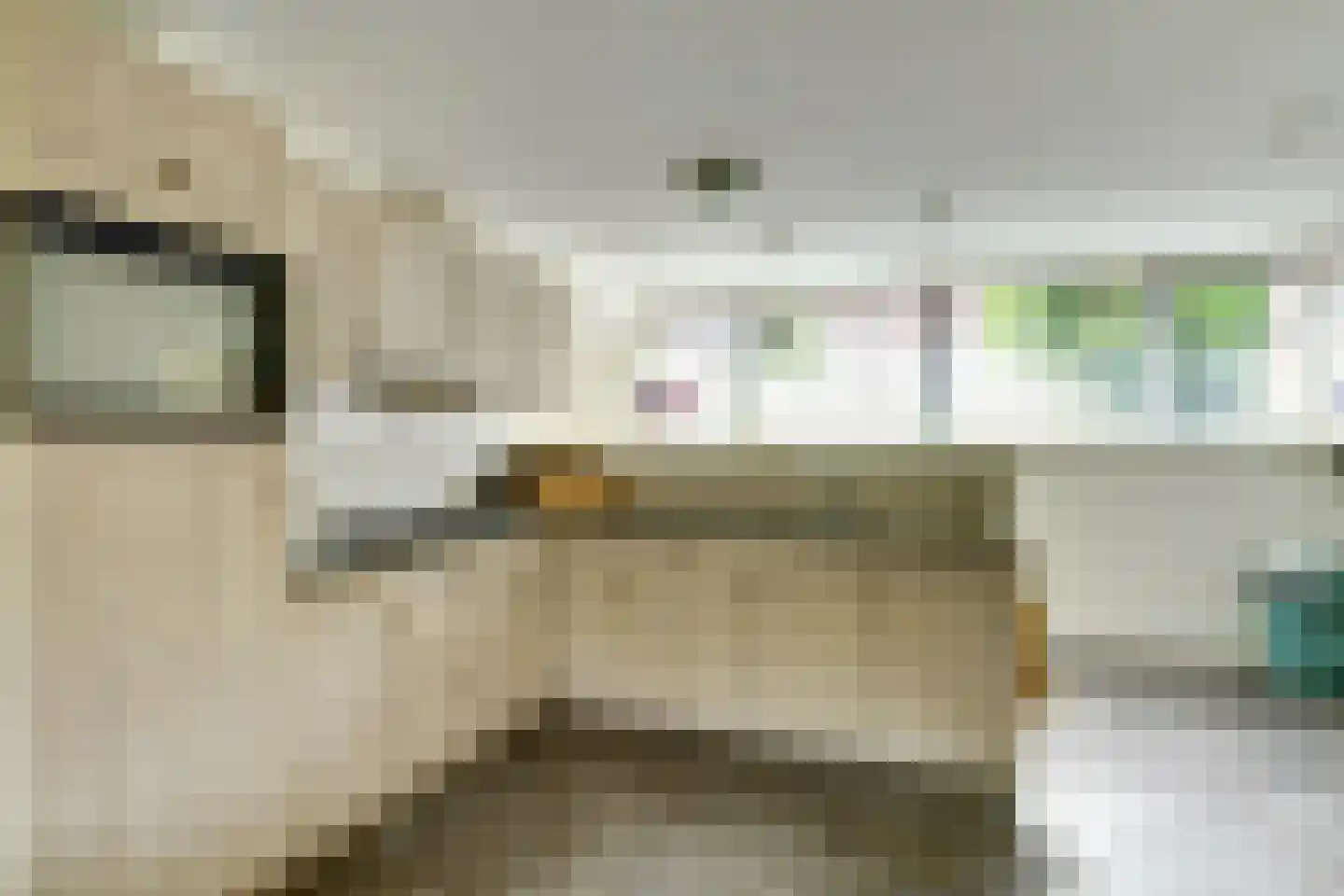 Van der Brugghenstrjitte 32 Nij Beets thumbnail 9