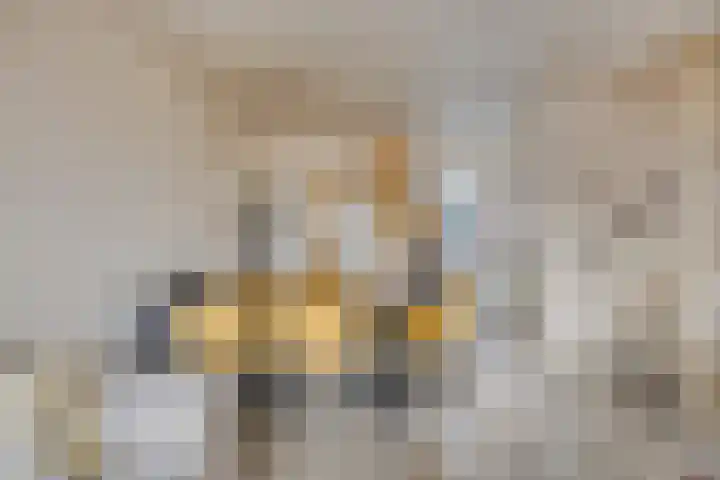 Van der Burghstraat 10 Hendrik-Ido-Ambacht thumbnail 10