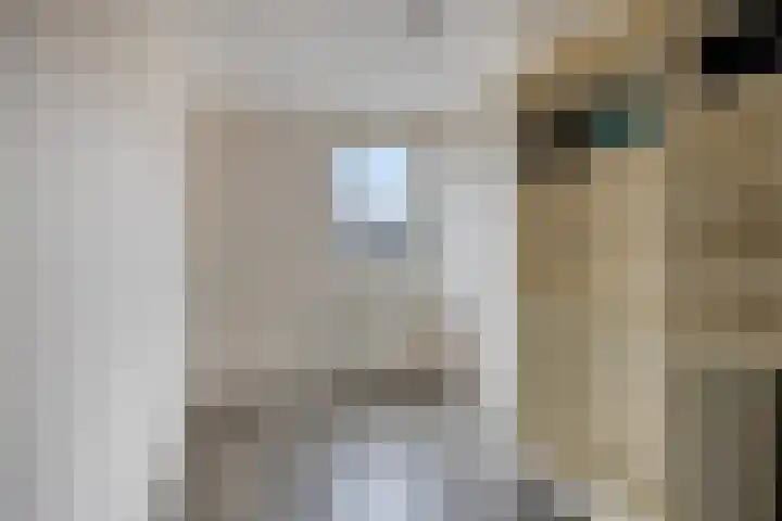 Van der Burghstraat 10 Hendrik-Ido-Ambacht thumbnail 22