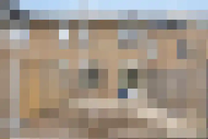 Van der Burghstraat 10 Hendrik-Ido-Ambacht thumbnail 33
